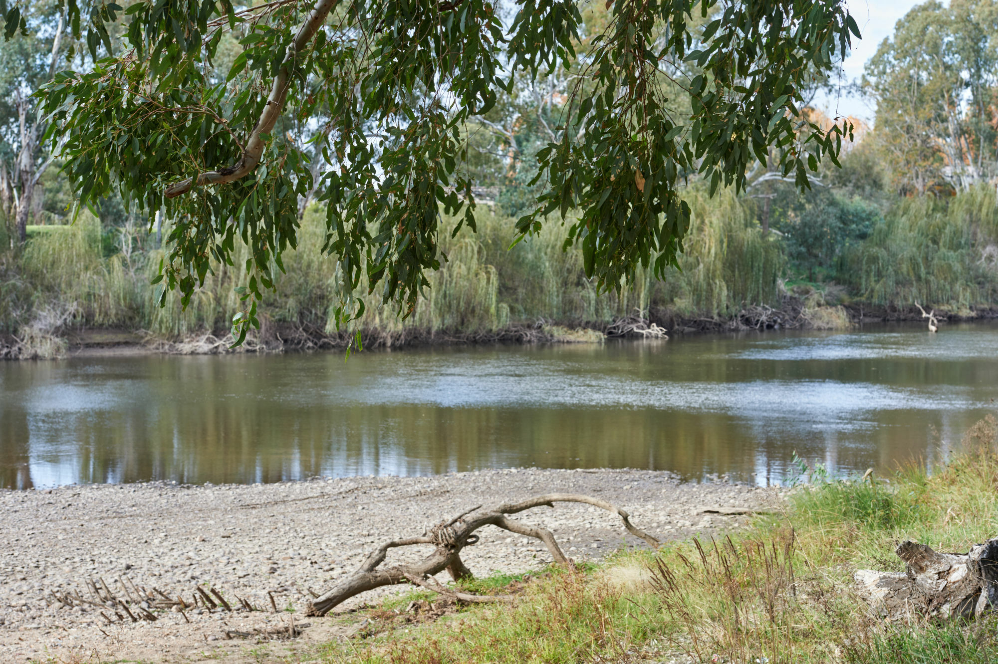 Gundagai Cabins & Tourist Park ภายนอก รูปภาพ